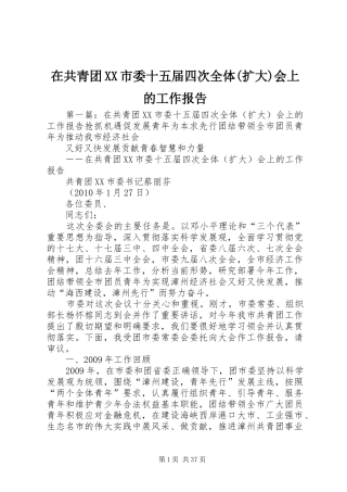 在共青团XX市委十五届四次全体(扩大)会上的工作报告