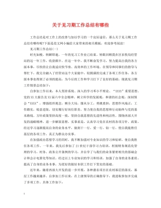 关于见习期工作总结有哪些 