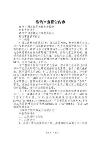 咨询审查报告内容