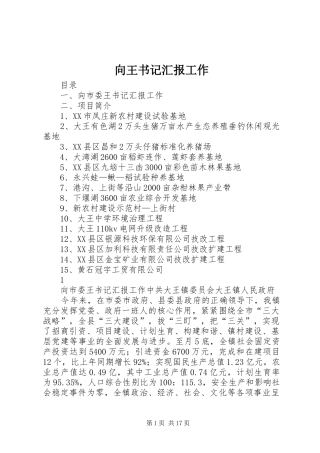 向王书记汇报工作
