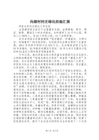 向湖村村庄绿化经验汇报
