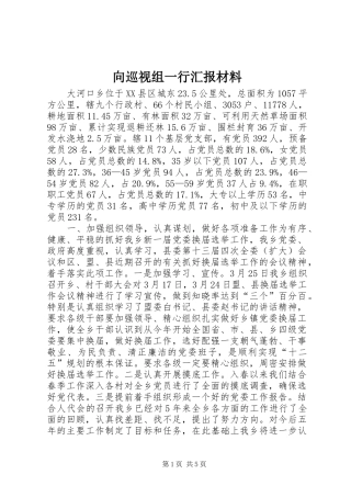 向巡视组一行汇报材料