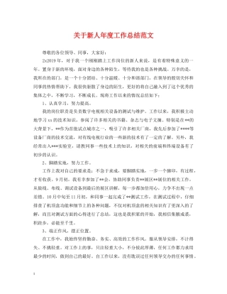 关于新人年度工作总结范文 