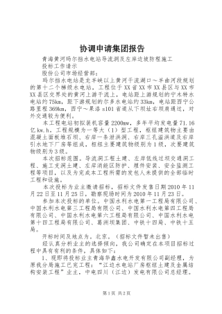 协调申请集团报告