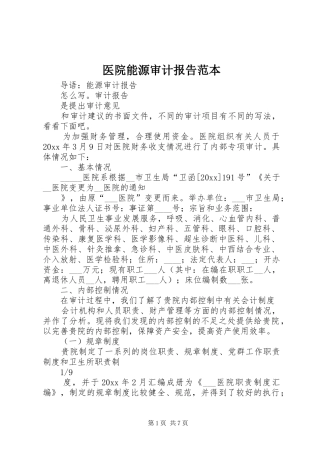 医院能源审计报告范本