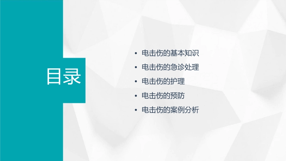 电击伤的急诊处理护理课件_第2页