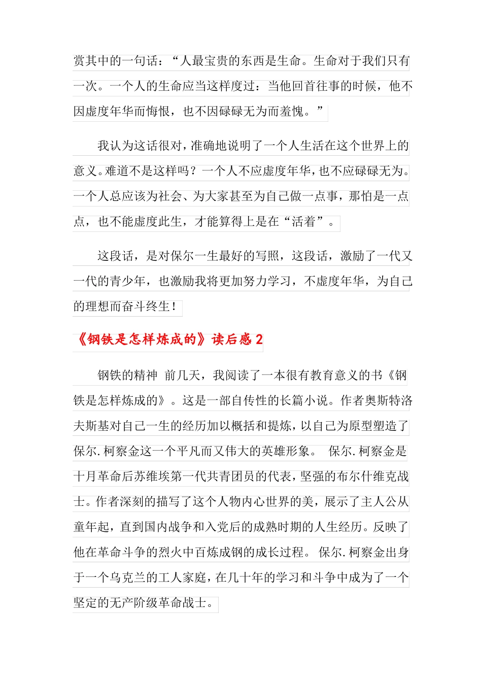 钢铁是怎样炼成的读后感模板_第2页
