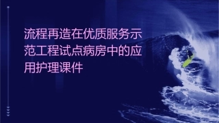 流程再造在优质服务示范工程试点病房中的应用护理课件