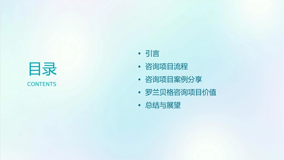 罗兰贝格咨询项目流程简介课件_第2页