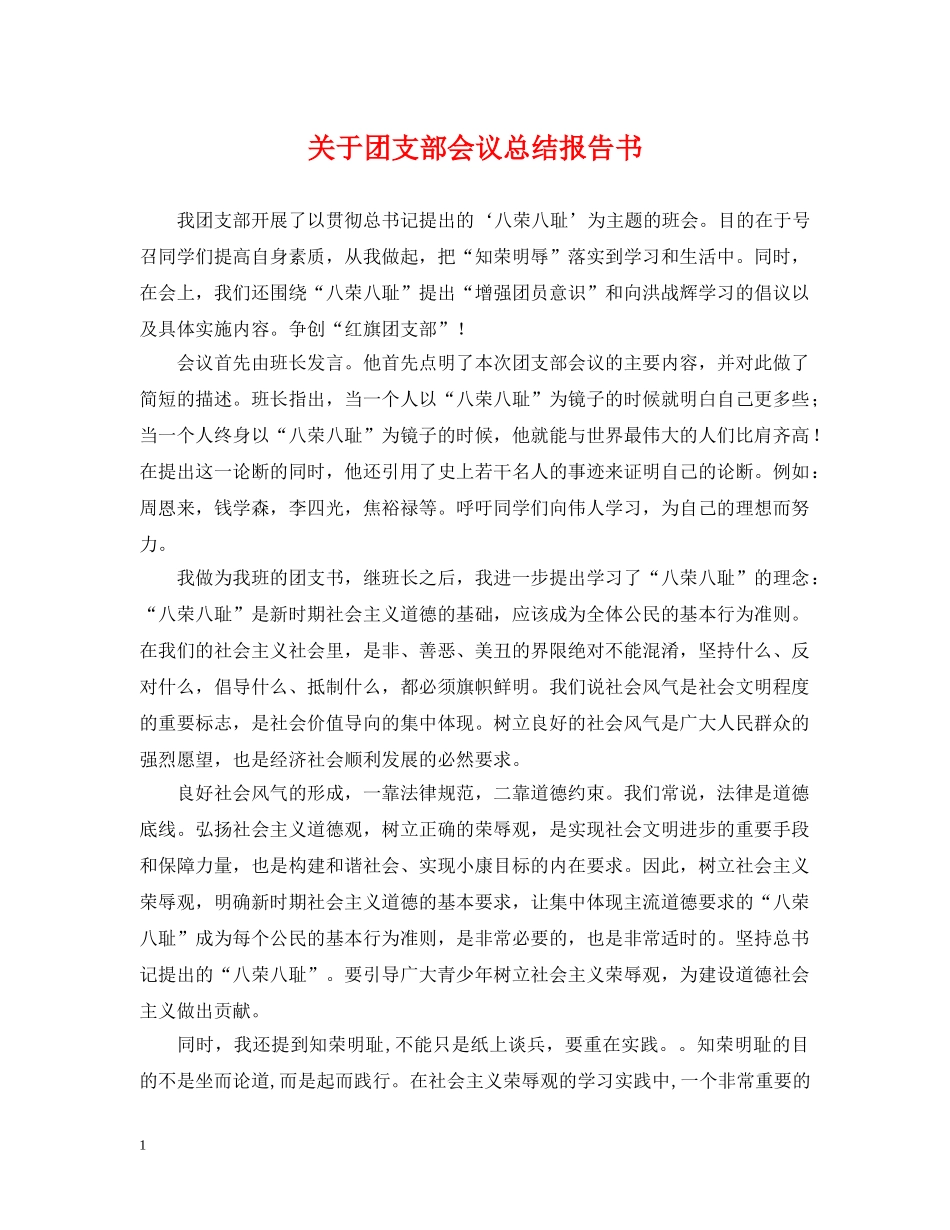 关于团支部会议总结报告书 _第1页