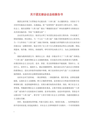 关于团支部会议总结报告书 