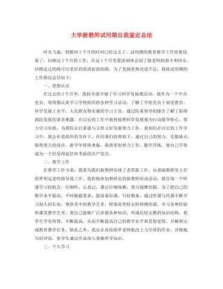 大学新教师试用期自我鉴定总结