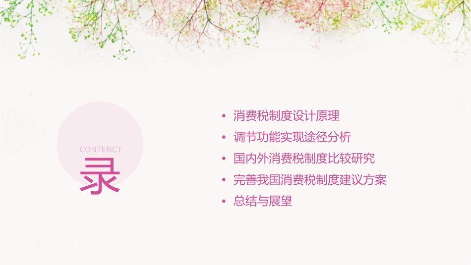 消费税调节功能分析课件_第2页