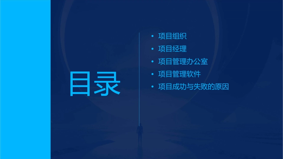 第二三章项目组织与项目经理要点课件_第2页