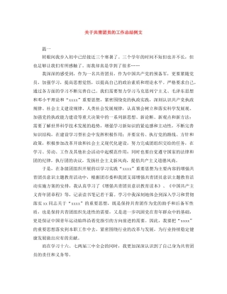 关于共青团员的工作总结例文 