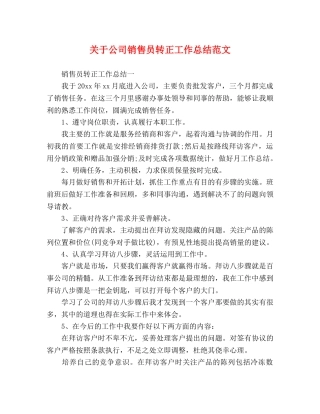 关于公司销售员转正工作总结范文 