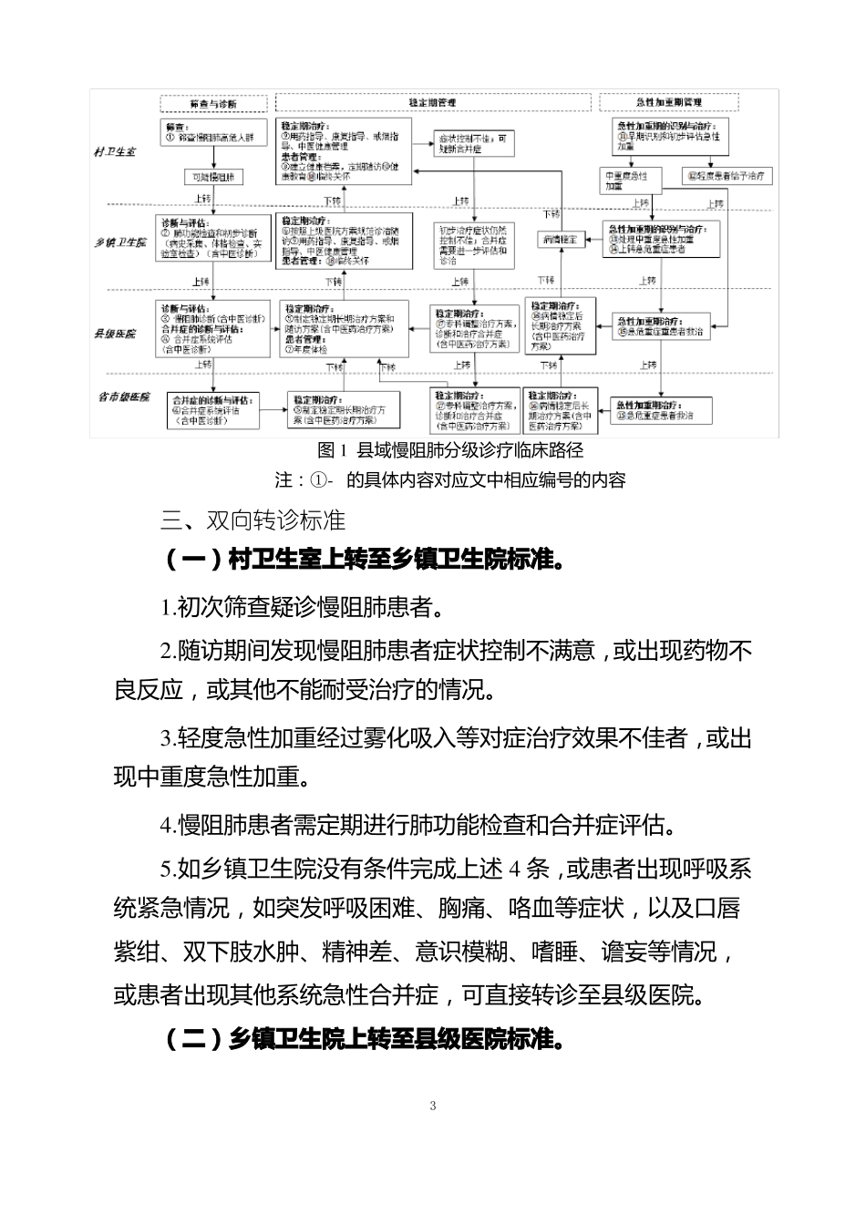 域慢性阻塞性肺疾病分级诊疗技术方案_第3页