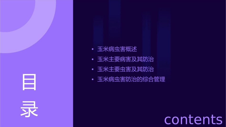 玉米病虫害防治课件_第2页