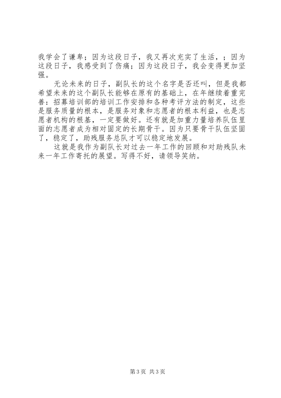 助残服务总队副队长年度汇报_第3页