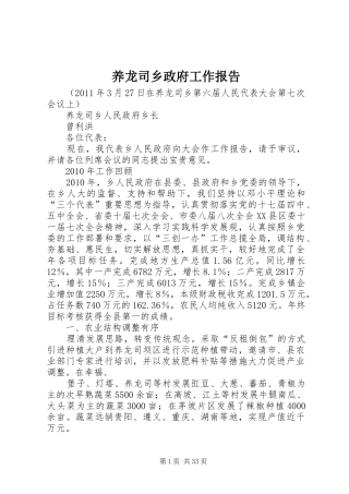 养龙司乡政府工作报告