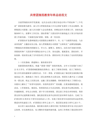 共青团规范教育年终总结范文 