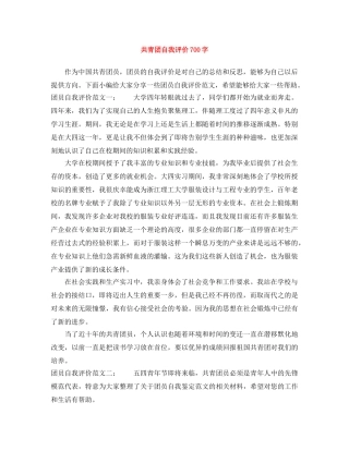 共青团自我评价700字 
