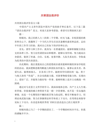 共青团自我评价 