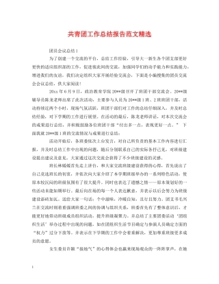 共青团工作总结报告范文精选 