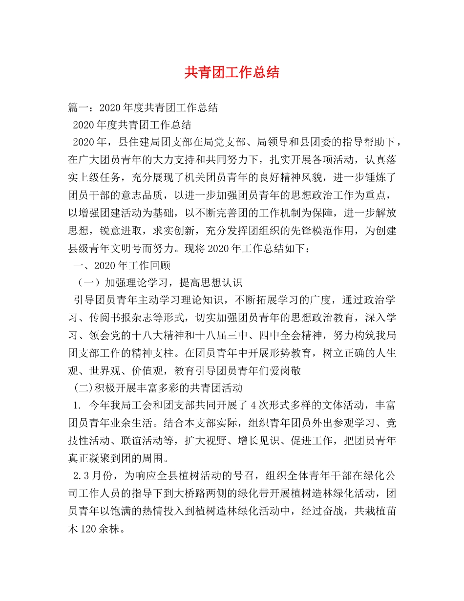 共青团工作总结 _第1页