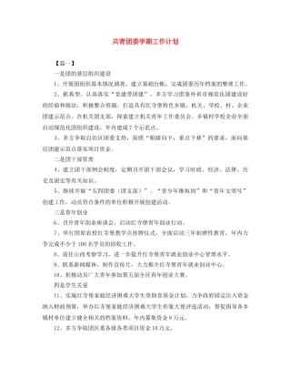 共青团委学期工作计划 