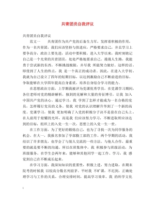 共青团员自我评议 