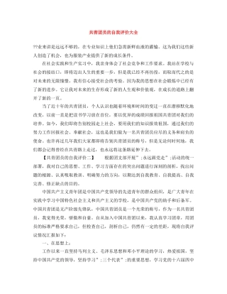 共青团员的自我评价大全 