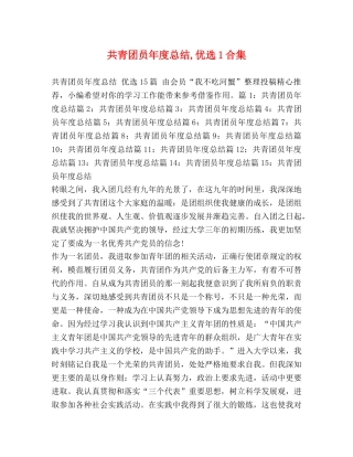 共青团员年度总结,优选1合集 