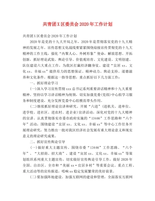 共青团X区委员会2020年工作计划 