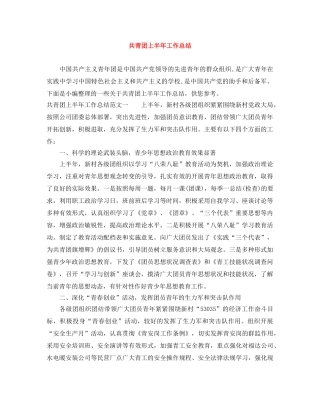 共青团上半年工作总结 