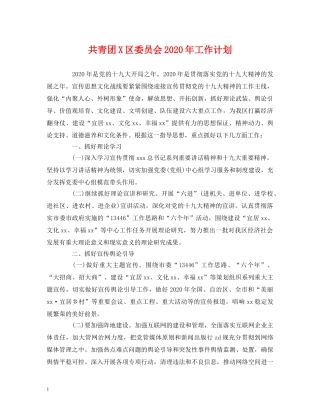 共青团X区委员会2020年工作计划 (2) 