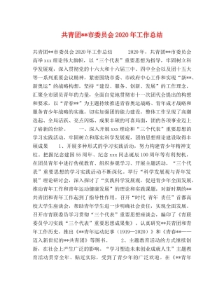 共青团--市委员会2020年工作总结 