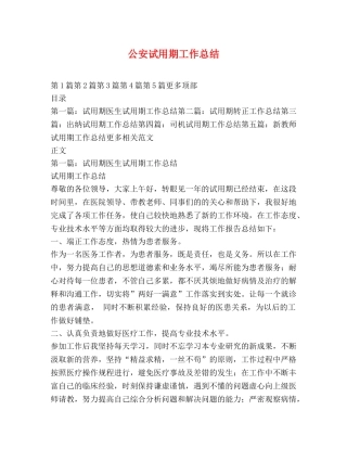 公安试用期工作总结 