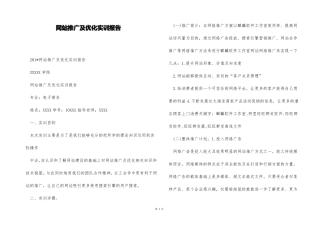 网站推广及优化实训报告