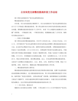 公安局党支部整改提高阶段工作总结2 