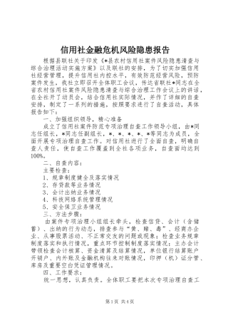 信用社金融危机风险隐患报告