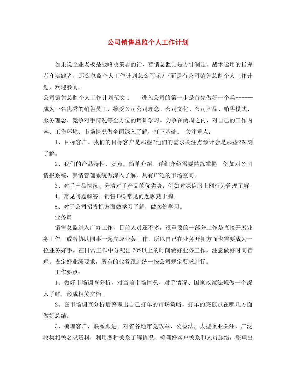 公司销售总监个人工作计划 _第1页