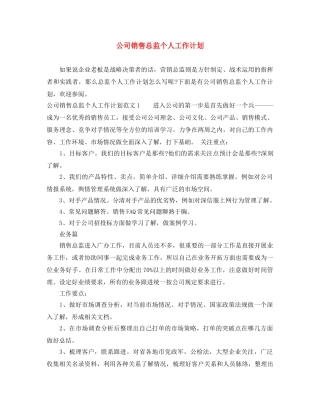 公司销售总监个人工作计划 