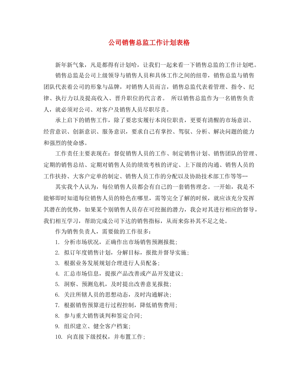 公司销售总监工作计划表格 _第1页