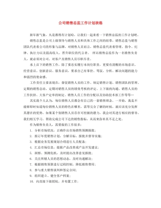 公司销售总监工作计划表格 