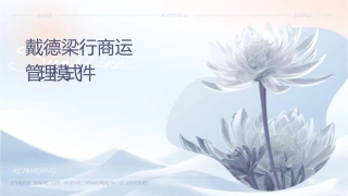 戴德梁行商业资产运营管理模式课件