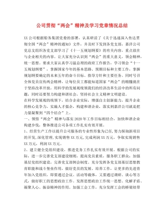 公司贯彻“两会”精神及学习党章情况总结 