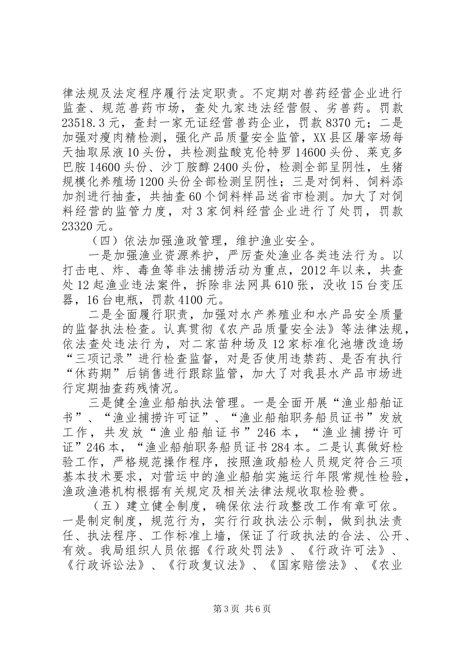 依法行政综合监察整改落实自查情况报告_第3页