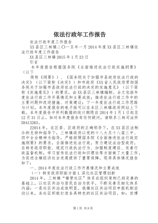 依法行政年工作报告