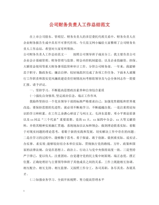 公司财务负责人工作总结范文 